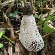 ヒメ日記 2025/10/18 15:48 投稿 和久井　なな リラクゼーションサロン　le Cocon～ルココン～