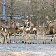 ヒメ日記 2025/10/19 17:42 投稿 和久井　なな リラクゼーションサロン　le Cocon～ルココン～