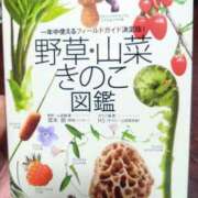 ヒメ日記 2025/10/26 15:33 投稿 和久井　なな リラクゼーションサロン　le Cocon～ルココン～