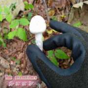 ヒメ日記 2025/10/30 15:34 投稿 和久井　なな リラクゼーションサロン　le Cocon～ルココン～