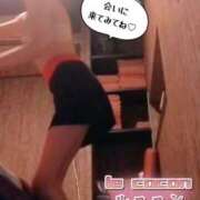ヒメ日記 2025/11/26 19:35 投稿 和久井　なな リラクゼーションサロン　le Cocon～ルココン～