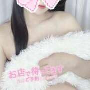 ヒメ日記 2025/09/17 10:43 投稿 ありす 秋葉原ハンドメイド