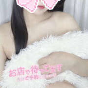 ヒメ日記 2025/11/02 09:59 投稿 ありす 秋葉原ハンドメイド