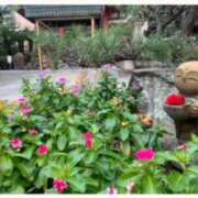 ヒメ日記 2024/12/10 15:15 投稿 あやか 奥鉄オクテツ和歌山