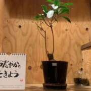 ヒメ日記 2024/12/28 09:28 投稿 あやか 奥鉄オクテツ和歌山