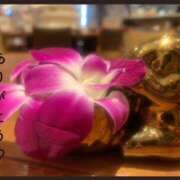 ヒメ日記 2025/01/14 23:31 投稿 あやか 奥鉄オクテツ和歌山