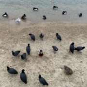 ヒメ日記 2025/03/07 18:02 投稿 あやか 奥鉄オクテツ和歌山