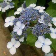 ヒメ日記 2025/06/23 07:43 投稿 あやか 奥鉄オクテツ和歌山