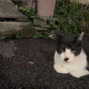 ヒメ日記 2025/08/11 22:07 投稿 あやか 奥鉄オクテツ和歌山