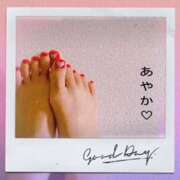 ヒメ日記 2025/09/15 08:41 投稿 あやか 奥鉄オクテツ和歌山