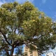 ヒメ日記 2025/12/11 21:52 投稿 あやか 奥鉄オクテツ和歌山