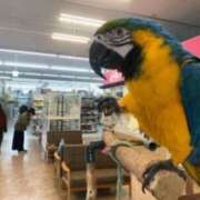 ヒメ日記 2026/01/03 16:35 投稿 あやか 奥鉄オクテツ和歌山