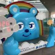 ヒメ日記 2026/04/06 14:55 投稿 あやか 奥鉄オクテツ和歌山