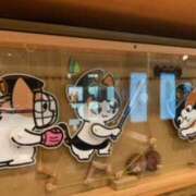 ヒメ日記 2026/04/25 16:21 投稿 あやか 奥鉄オクテツ和歌山