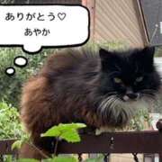 ヒメ日記 2026/04/29 06:33 投稿 あやか 奥鉄オクテツ和歌山