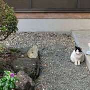 ヒメ日記 2026/05/25 20:26 投稿 あやか 奥鉄オクテツ和歌山
