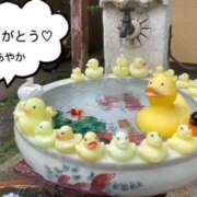 ヒメ日記 2026/07/20 20:43 投稿 あやか 奥鉄オクテツ和歌山