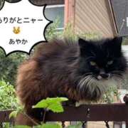 ヒメ日記 2026/08/22 09:11 投稿 あやか 奥鉄オクテツ和歌山