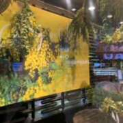 ヒメ日記 2025/02/25 14:05 投稿 あやか 奥鉄オクテツ兵庫