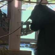 ヒメ日記 2025/03/21 08:51 投稿 あやか 奥鉄オクテツ兵庫