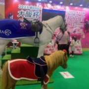 ヒメ日記 2025/04/03 17:52 投稿 あやか 奥鉄オクテツ兵庫