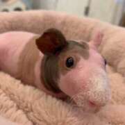 ヒメ日記 2025/07/12 18:17 投稿 あやか 奥鉄オクテツ兵庫