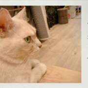 ヒメ日記 2025/08/25 13:57 投稿 あやか 奥鉄オクテツ兵庫