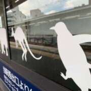 ヒメ日記 2025/11/24 14:20 投稿 あやか 奥鉄オクテツ兵庫