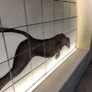 ヒメ日記 2025/12/13 07:25 投稿 あやか 奥鉄オクテツ兵庫