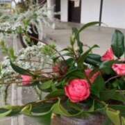 ヒメ日記 2025/03/31 07:48 投稿 あやか 奥鉄オクテツ奈良