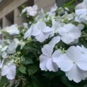 ヒメ日記 2025/05/13 18:17 投稿 あやか 奥鉄オクテツ奈良