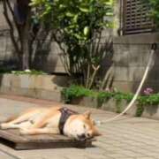 ヒメ日記 2025/05/31 15:59 投稿 あやか 奥鉄オクテツ奈良