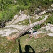 ヒメ日記 2025/06/30 07:35 投稿 あやか 奥鉄オクテツ奈良