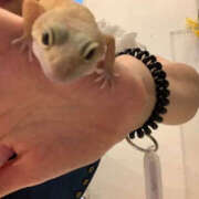 ヒメ日記 2025/08/04 13:19 投稿 あやか 奥鉄オクテツ奈良