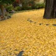 ヒメ日記 2025/12/01 20:42 投稿 あやか 奥鉄オクテツ奈良