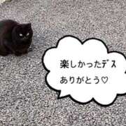 ヒメ日記 2026/03/24 09:54 投稿 あやか 奥鉄オクテツ奈良