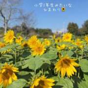 ヒメ日記 2025/11/16 10:10 投稿 ♡ユリア♡ ラブ♡エル