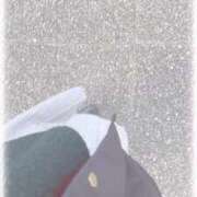 ヒメ日記 2024/12/12 14:34 投稿 のどか 学園collection