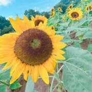 ヒメ日記 2025/08/20 18:51 投稿 るい 夜這専門発情する奥様たち 谷九店