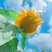 ヒメ日記 2025/08/25 22:21 投稿 るい 夜這専門発情する奥様たち 谷九店