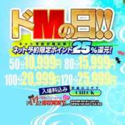 ヒメ日記 2024/01/17 09:01 投稿 まお♡素朴なおっとりばにー♡ ドMなバニーちゃん 柴田店