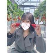 ヒメ日記 2025/03/24 14:42 投稿 きい 舐めたくてグループ～君とサプライズ学園～越谷校