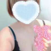 ヒメ日記 2025/03/25 21:03 投稿 みなと 奥様メモリアル