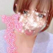 ヒメ日記 2025/04/10 01:18 投稿 みなと 奥様メモリアル