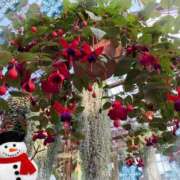 ヒメ日記 2024/12/23 21:11 投稿 村上　ゆい プルプル人妻専門店