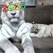 ヒメ日記 2025/01/04 22:03 投稿 村上　ゆい プルプル人妻専門店