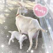 ヒメ日記 2025/05/22 19:52 投稿 村上　ゆい プルプル人妻専門店