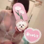 ヒメ日記 2025/08/05 07:50 投稿 村上　ゆい プルプル人妻専門店