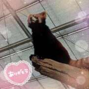 ヒメ日記 2025/11/14 05:06 投稿 村上　ゆい プルプル人妻専門店