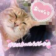 ヒメ日記 2025/11/18 19:45 投稿 村上　ゆい プルプル人妻専門店